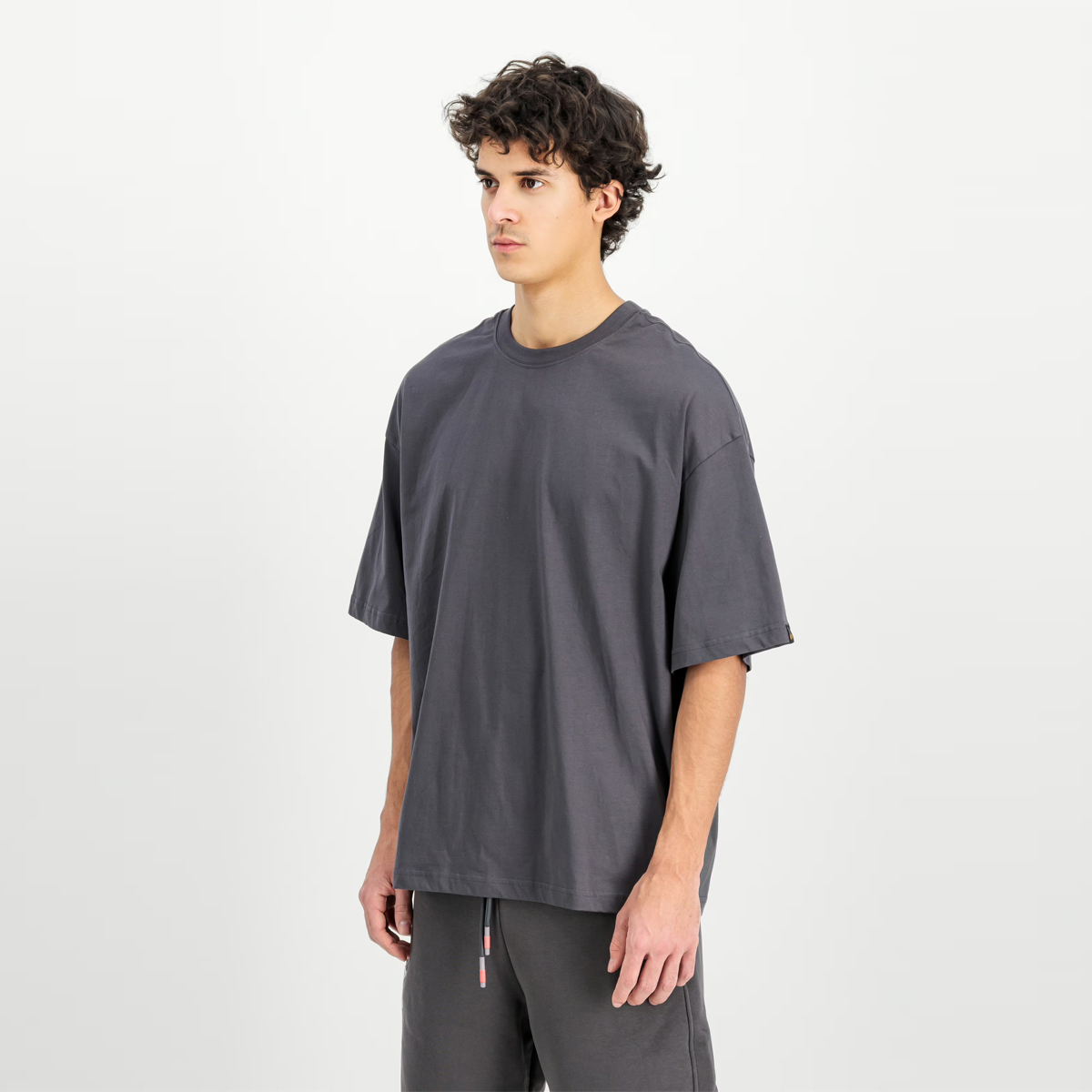 Alpha Industries T-Shirt Studio Edition Vintage Grey - 4