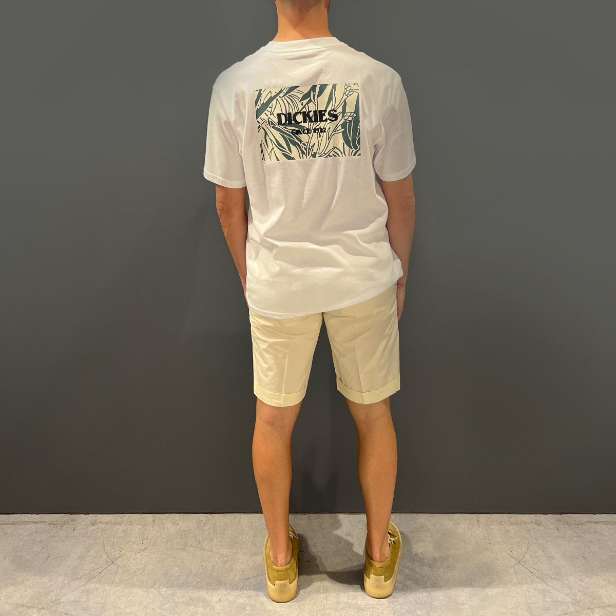Clark Bermuda Harold Chino Regular Ivory - 5