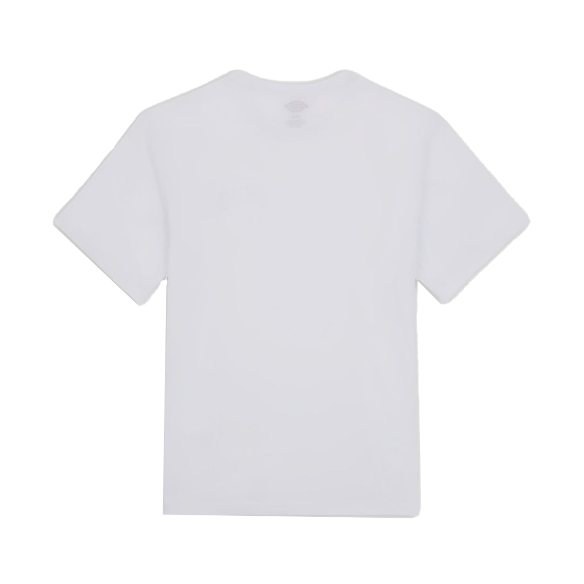 Dickies T-Shirt Aitkin White Dark Forest - 2 Dickies T-Shirt Aitkin White Dark Forest - 2
