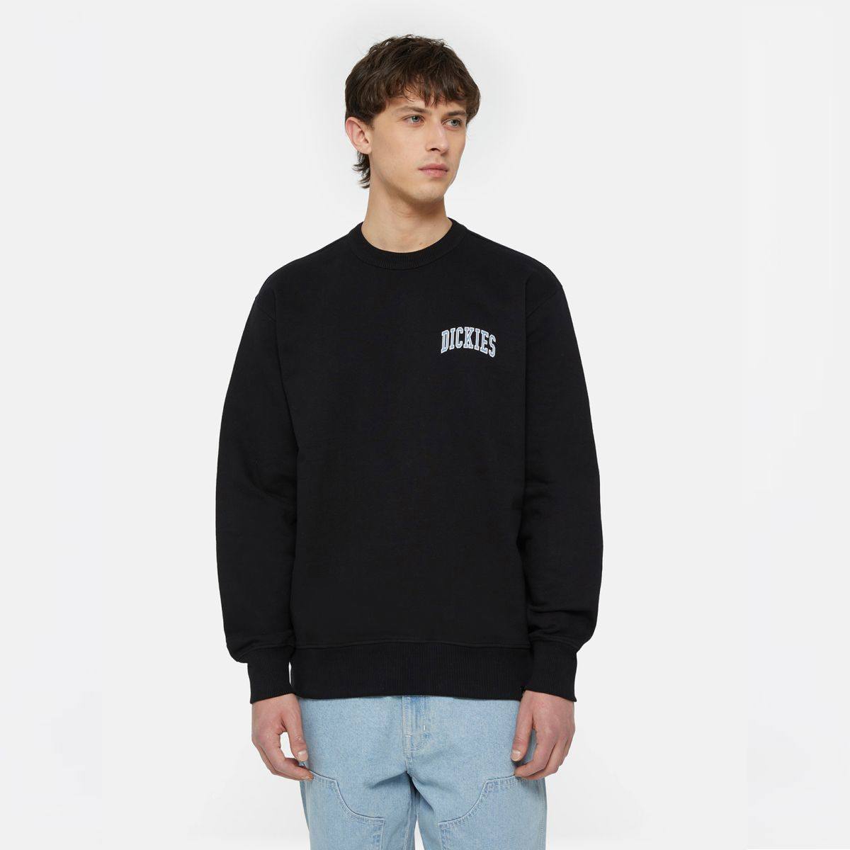 Dickies Felpa con cappuccio Atkin Black Coronet Blue - 3 Dickies Felpa con cappuccio Atkin Black Coronet Blue - 3