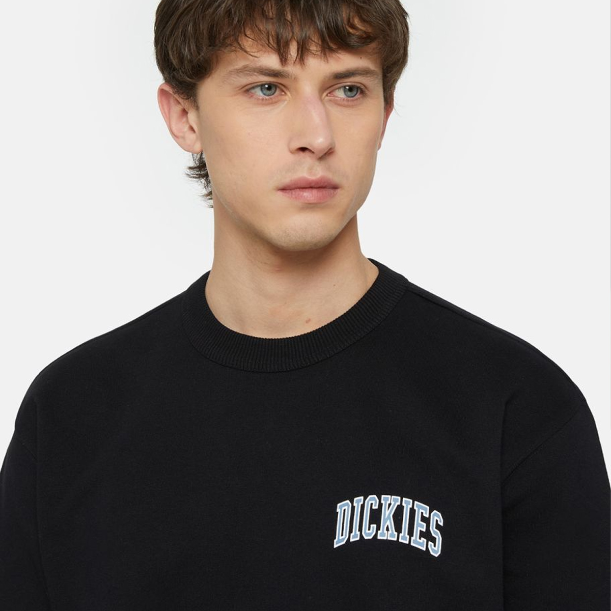 Dickies Felpa con cappuccio Atkin Black Coronet Blue - 6 Dickies Felpa con cappuccio Atkin Black Coronet Blue - 6