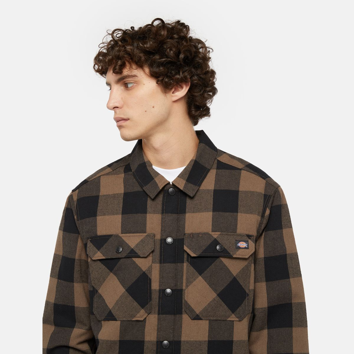Dickies Camicia Lined Sacramento Mushroom - 4
