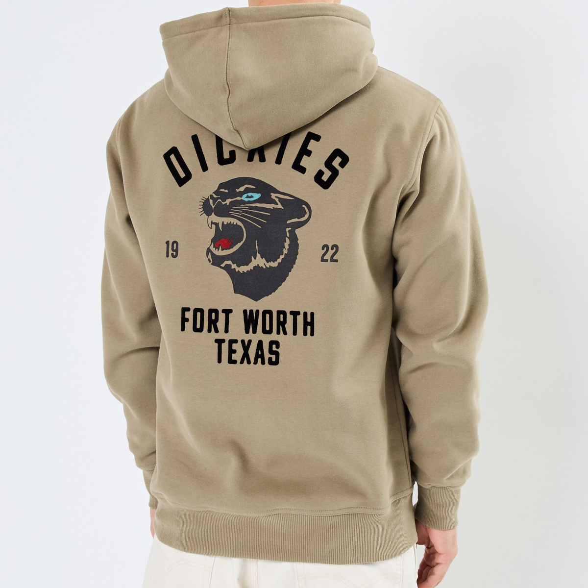 Dickies Felpa Panther Imperial Green - 2 Dickies Felpa Panther Imperial Green - 2