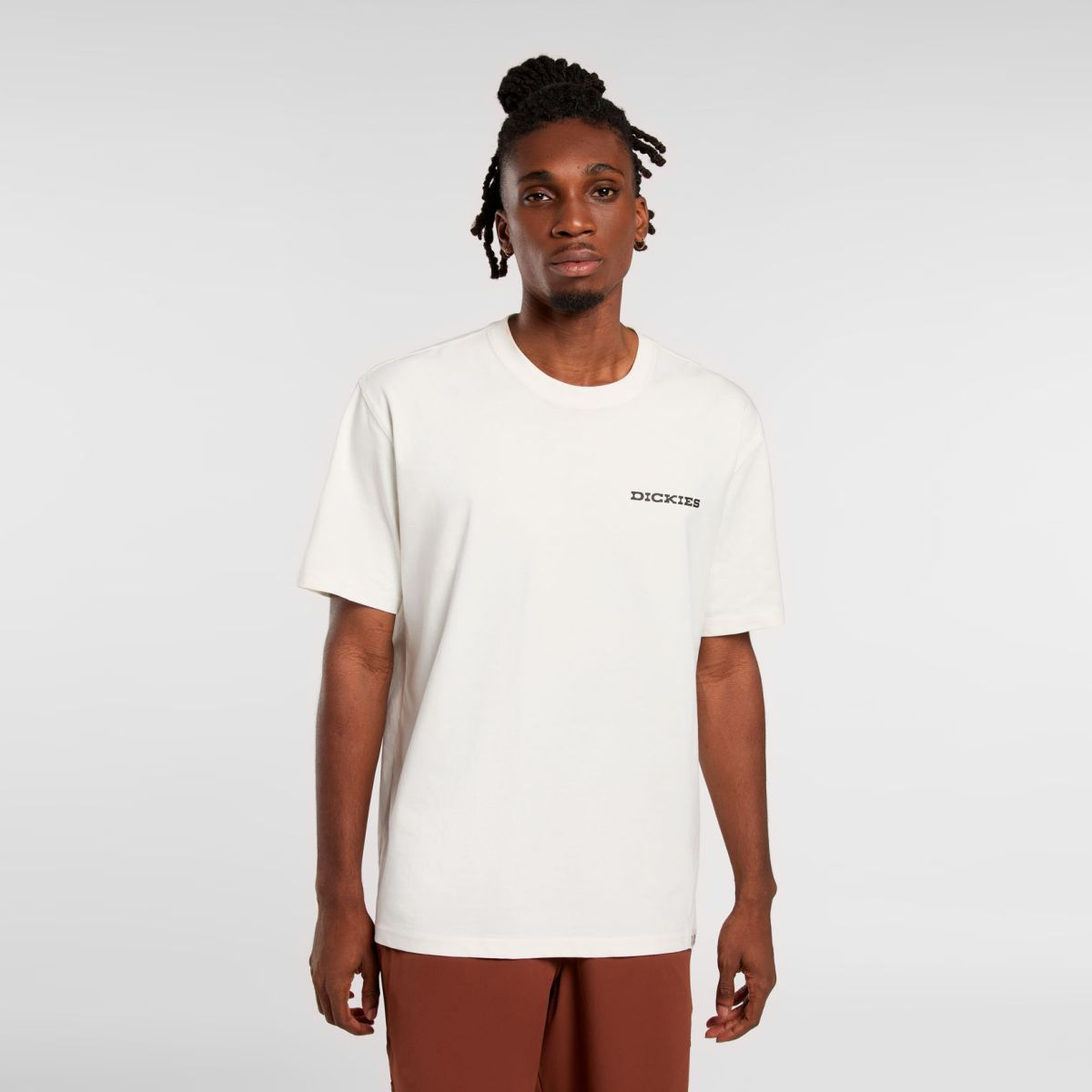 Dickies T-Shirt Slacks Landascape Egret - 3
