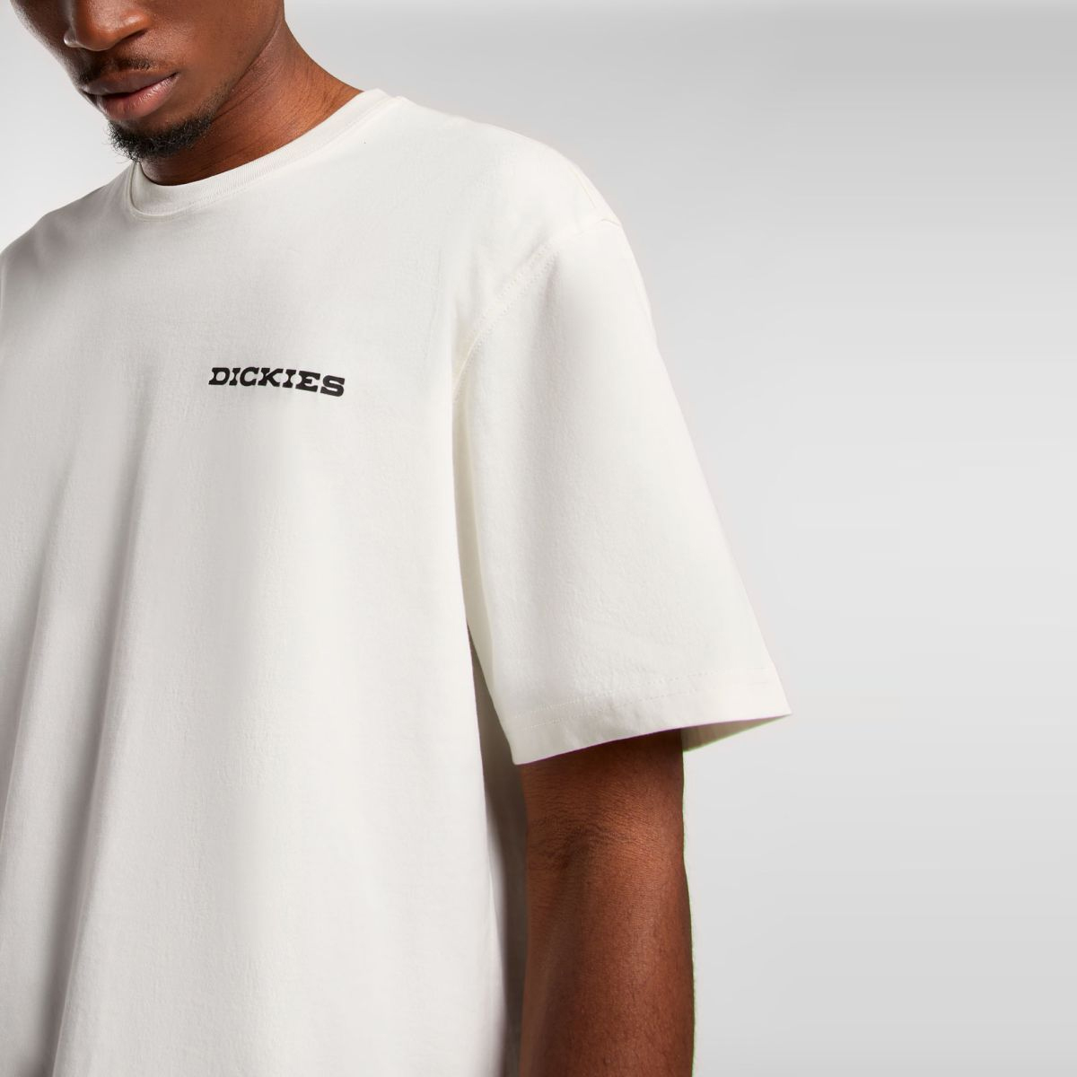 Dickies T-Shirt Slacks Landascape Egret - 5
