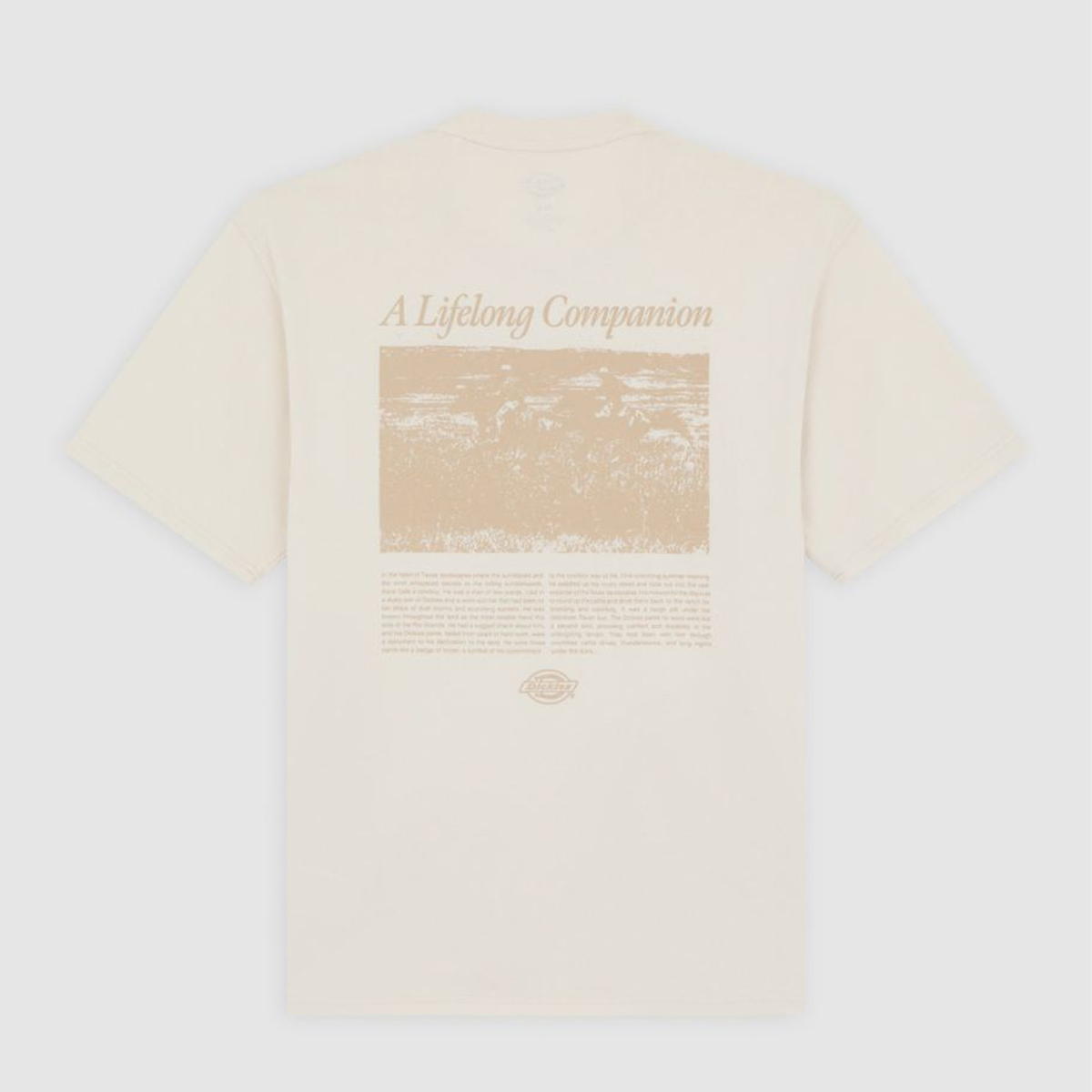 Dickies T-Shirt Companion Script Whitecap Gray - 8