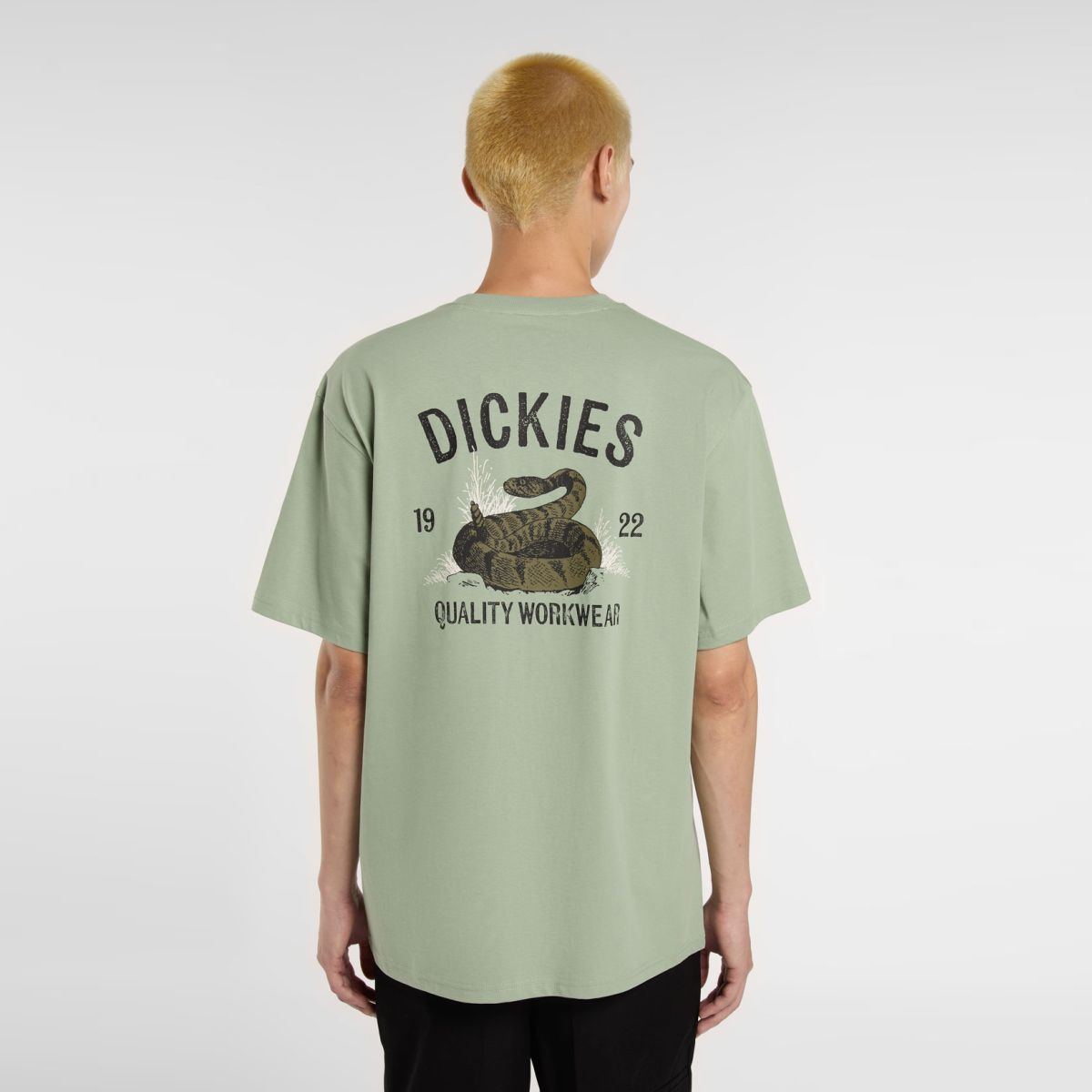 Dickies T-Shirt Dickies Snake Iceberg Green - 2