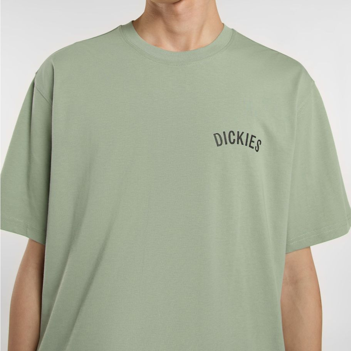 Dickies T-Shirt Dickies Snake Iceberg Green - 5