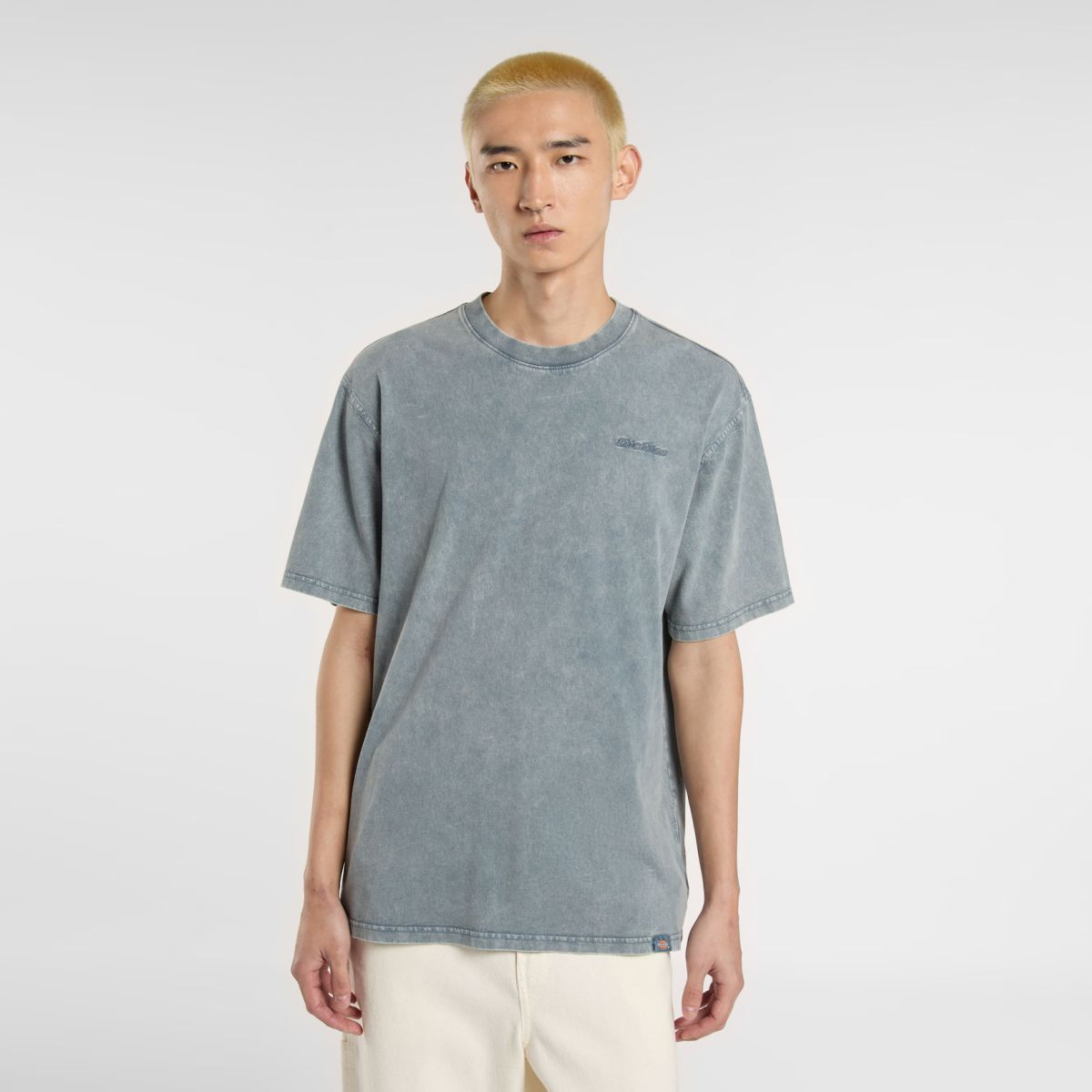 Dickies T-Shirt Plentywood Stormy Weather - 2 Dickies T-Shirt Plentywood Stormy Weather - 2