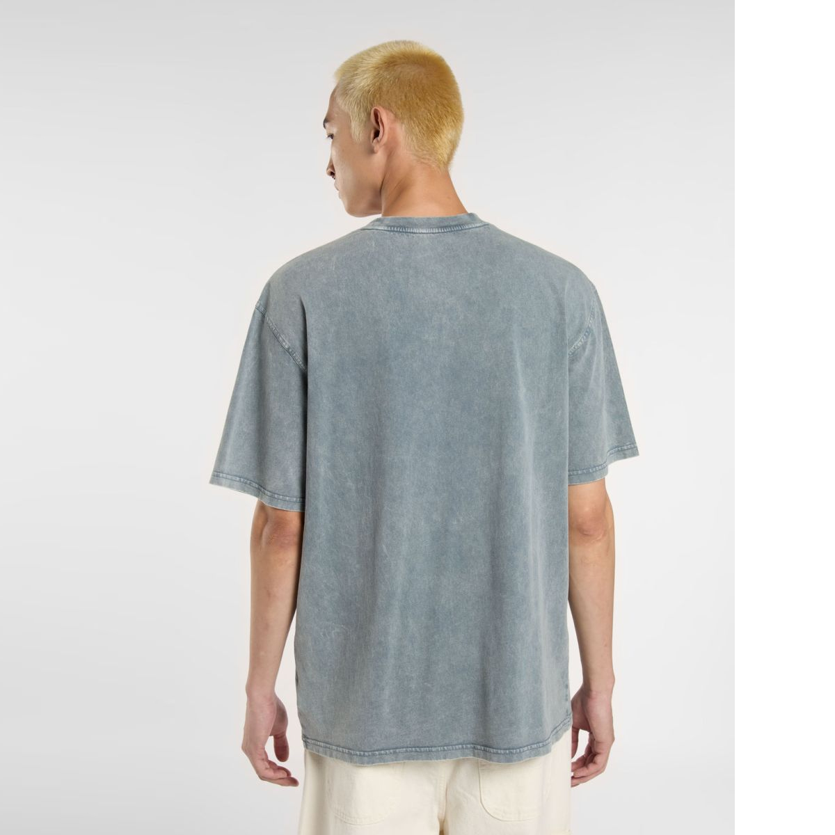 Dickies T-Shirt Plentywood Stormy Weather - 3 Dickies T-Shirt Plentywood Stormy Weather - 3