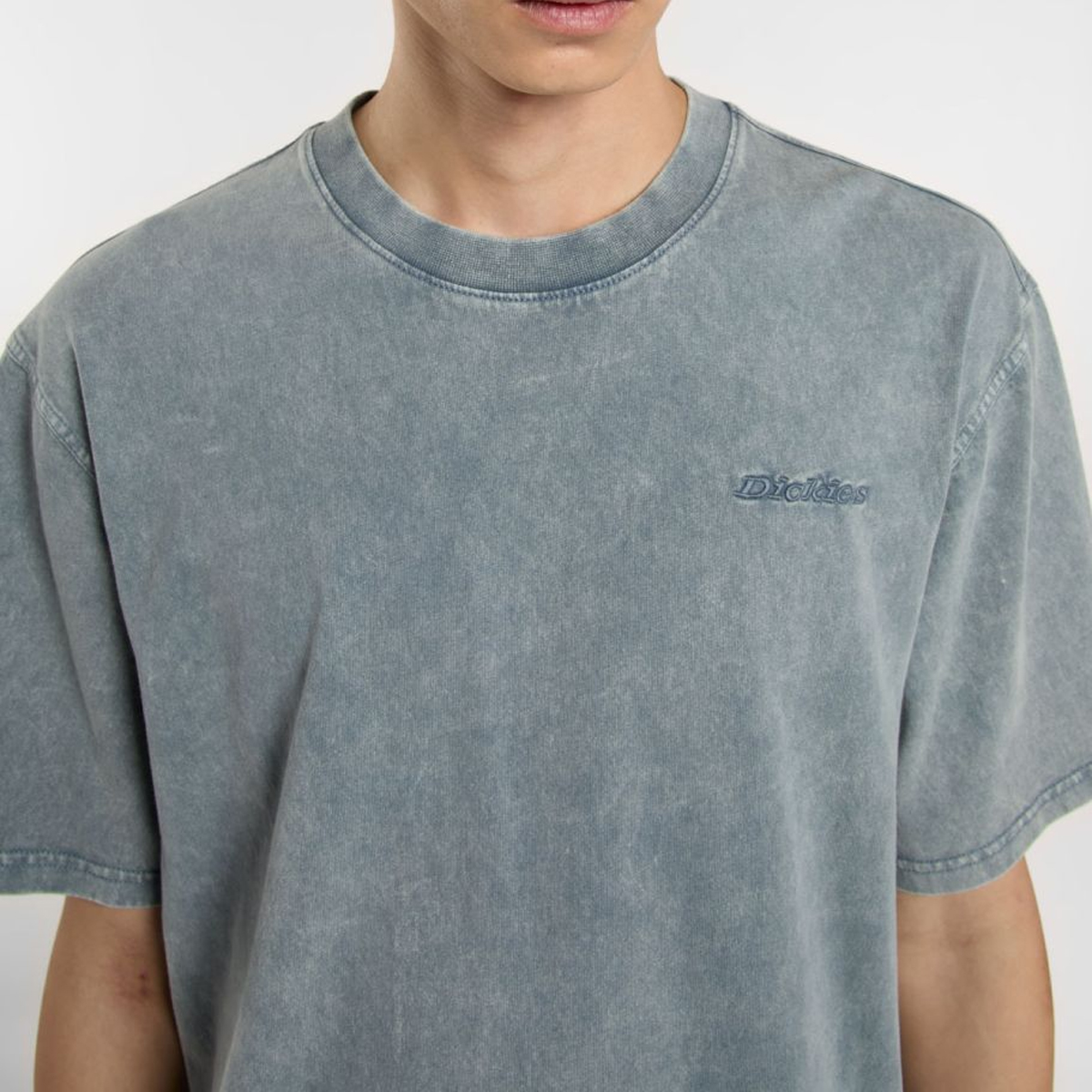 Dickies T-Shirt Plentywood Stormy Weather - 5 Dickies T-Shirt Plentywood Stormy Weather - 5