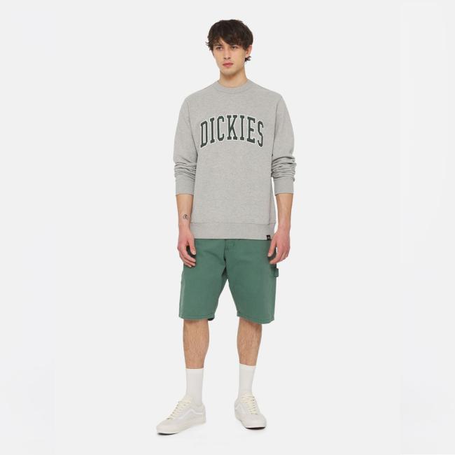 Dickies Felpa Atkin Grey Dark Forest - 5