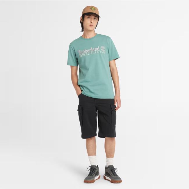 Timberland Shorts Cargo Brookline Twill Black - 3