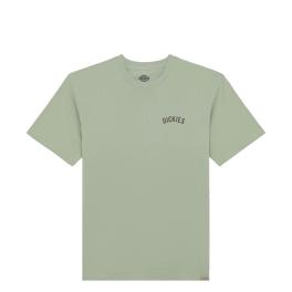 Dickies T-Shirt Dickies Snake Iceberg Green - 1