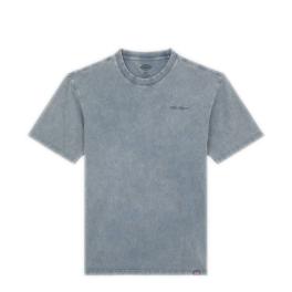 Dickies T-Shirt Plentywood Stormy Weather - 1